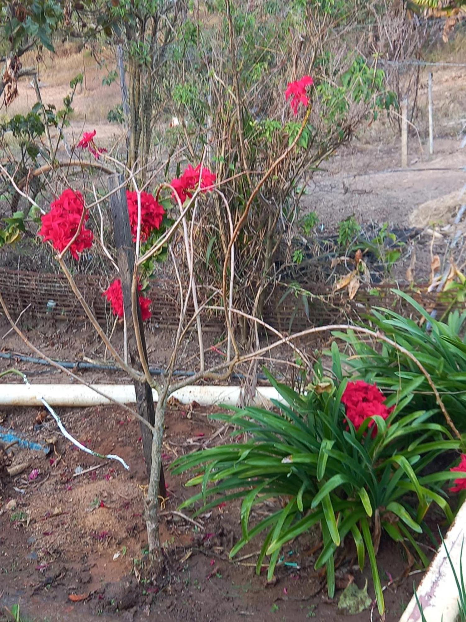 Pousada Recanto Alegre Campestre Ngoại thất bức ảnh